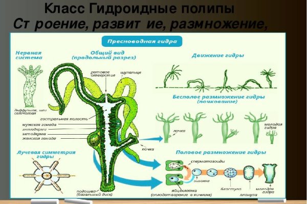 Как вывести с омг